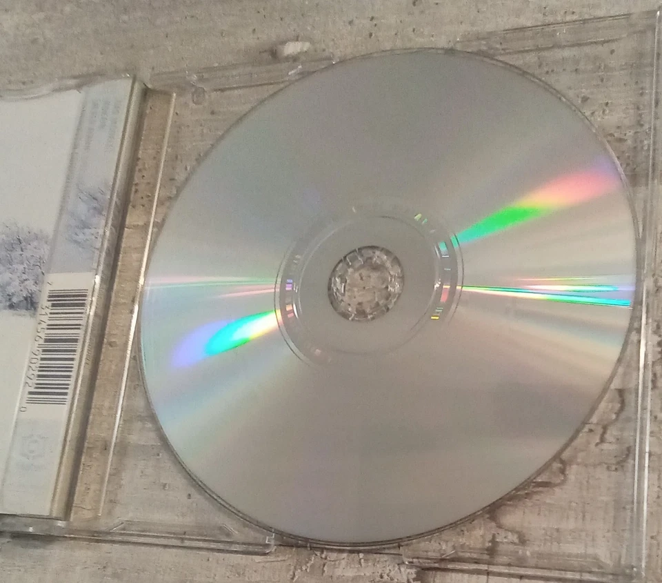 Rammstein - Das Modell - 3 Track Maxi CD - 1997 mit Computerspiel für Windows - Bild 4 von 4