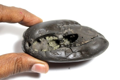 Adwaitya Matangi Shaligram wt-251 gram -size - 3.00 inch - Picture 6 of 6