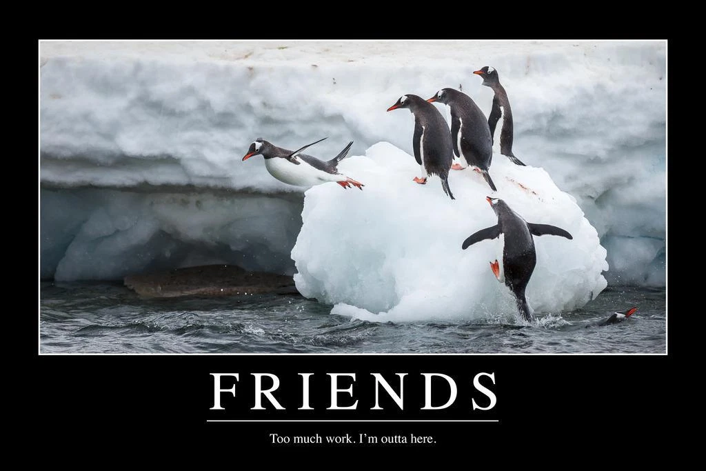 Friends Too Much Work Funny Demotivational Poster 24x36 | eBay