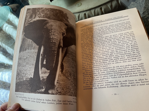 German Book: Wir Tiere (We Animals) Lola Kreutzberg - 150 photos - Bild 5 von 6