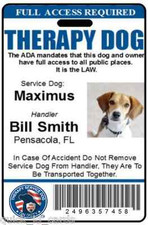 Therapy Dog ID Badge Service Dog ID Card ADA working Dog assistance pet tag 27