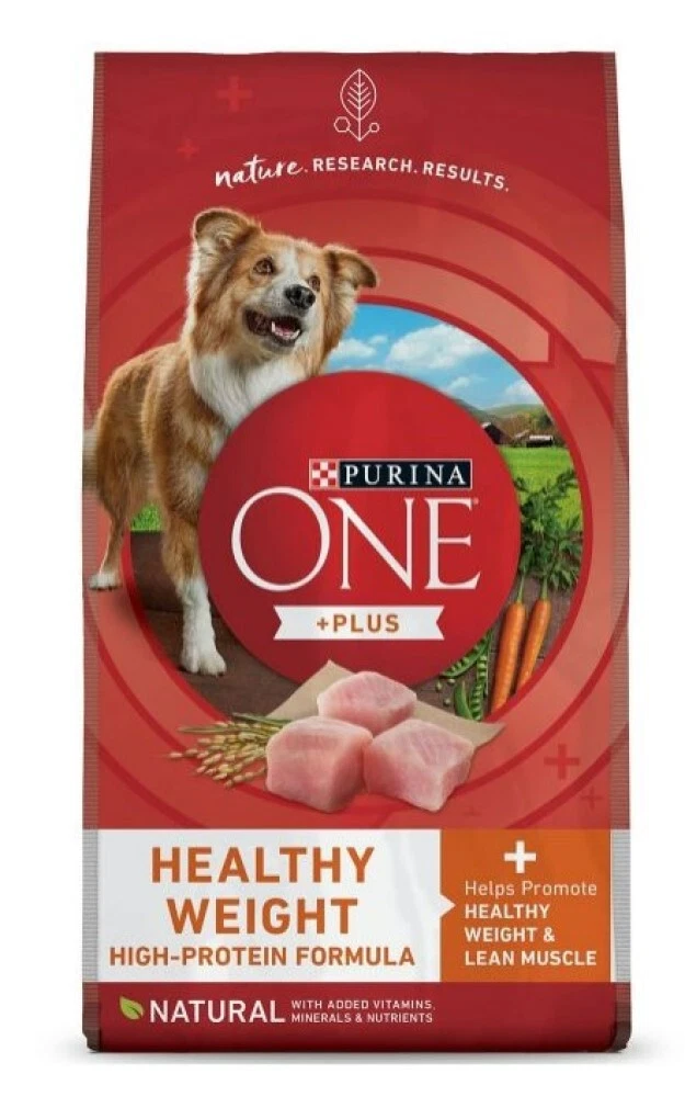 One dog best sale food