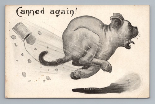 Humorous Scared Dog Running From Can Comic Humor Vintage Postcard