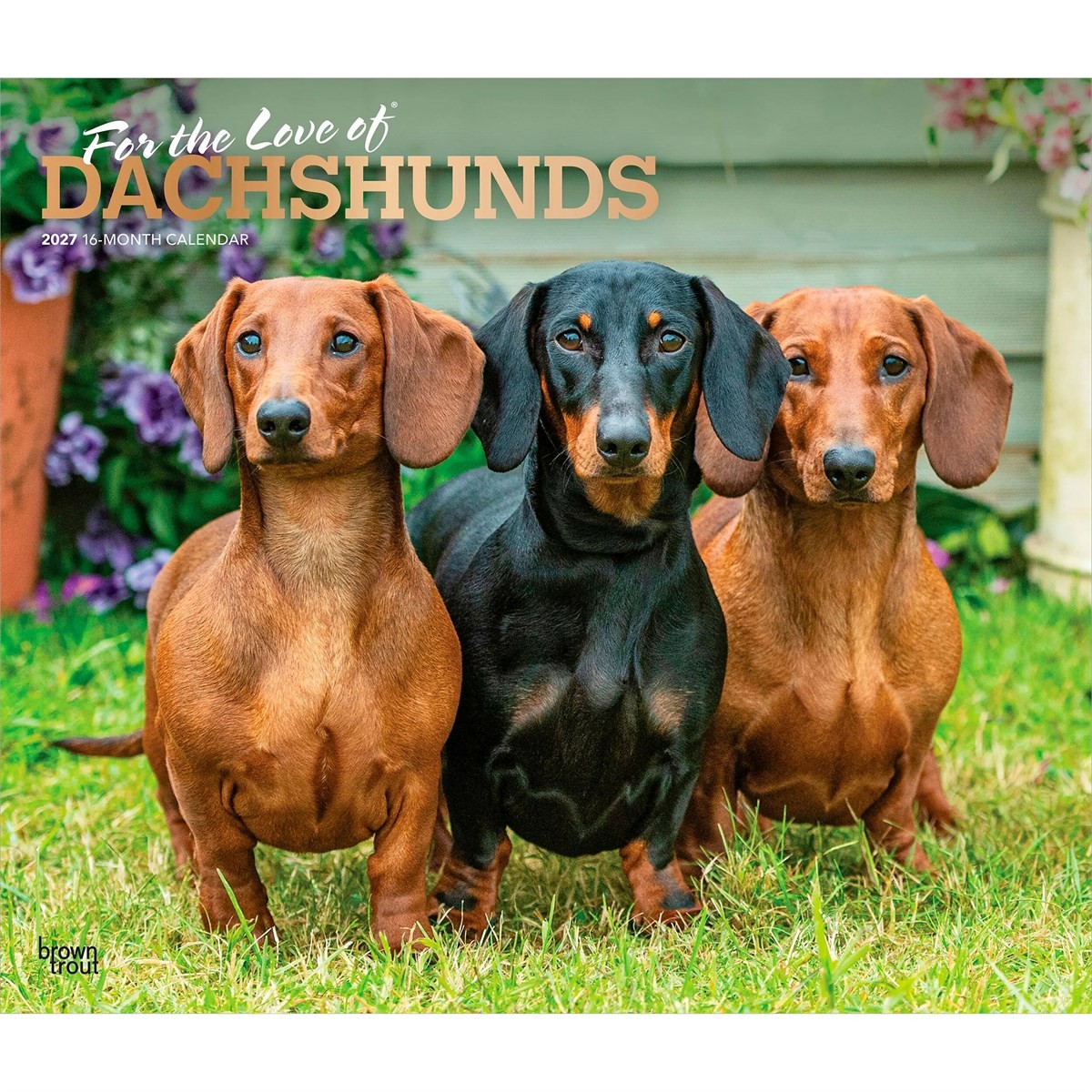 For The Love Of Dachshunds Deluxe Calendar 2027 - Image 2