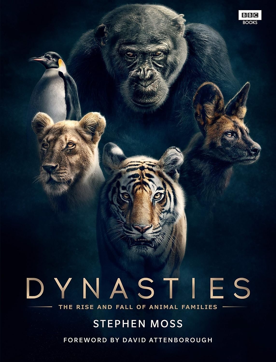 Dynasties Rise And Fall Of Animal Families Hardcover NEW - Image 2