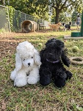 Webkinz GANZ lot 2 White Poodle  Black Poodle Plush Stuffed Animal NO Code