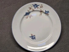 Antique Unmarked Homer Laughlin Bluebird Plate 9 Inch Glossy Flowers Pretty