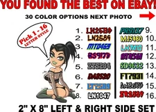 Snowmobile Registration Numbers Pair Decals Sticker Vinyl 2 Color sled decal 