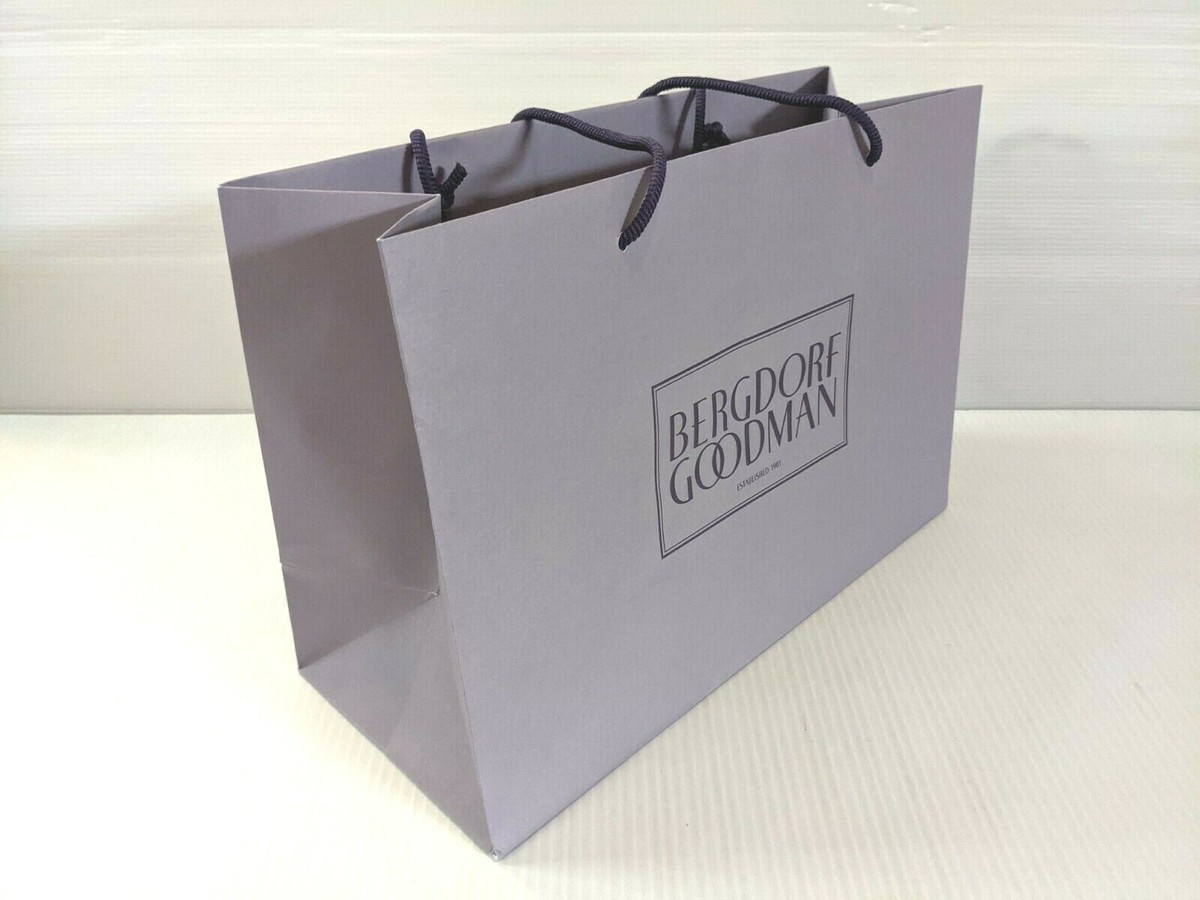 NEW Authentic Bergdorf Goodman Paper Shopping Gift Bag multiple