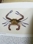 Foto 4 di 5