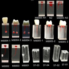 Bloque de práctica de resina de ECA de conducto radicular de endodoncia dental modelo de estudio dental para uso