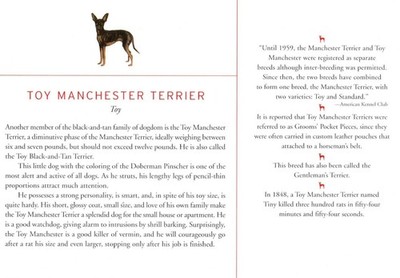 Toy Manchester Terrier - CUSTOM MATTED Dog Art Print - Breed Description History