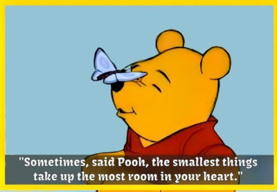 Sometimes, Said Pooh The Smallest Things Take Up The Most Room In Heart  MAGNET