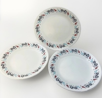 Corelle Nordic Bloom Set of 3 Bread & Butter or Salad Plates 6 3/4'' Diameter