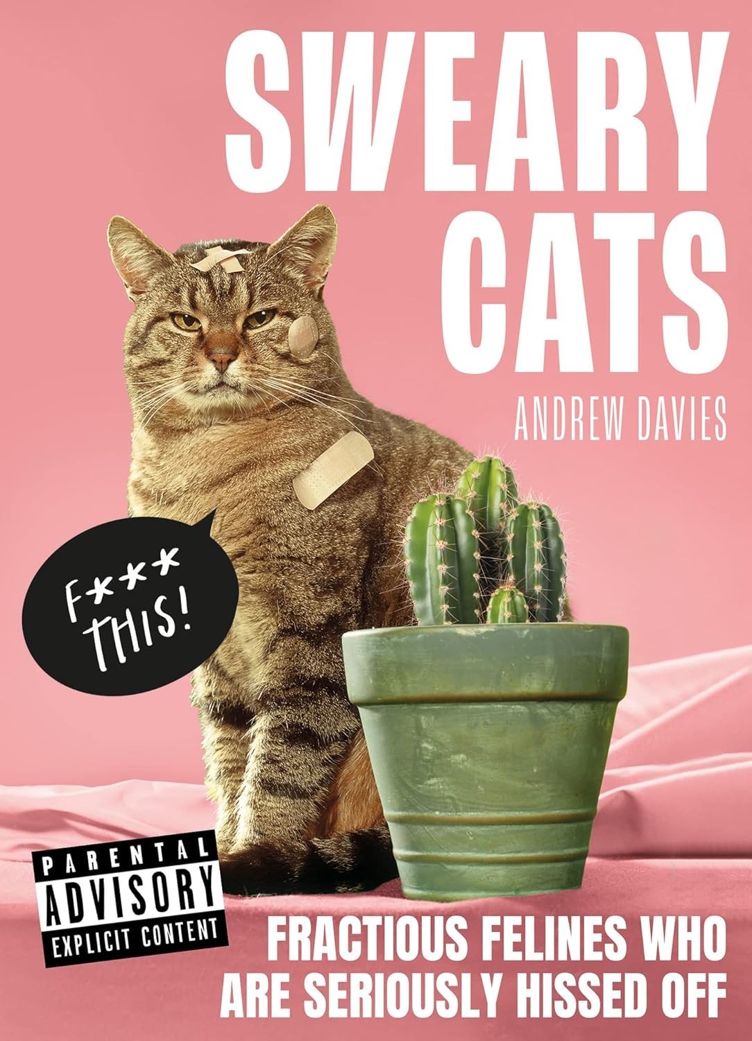Sweary Cats by Andrew Davies (Hardcover)