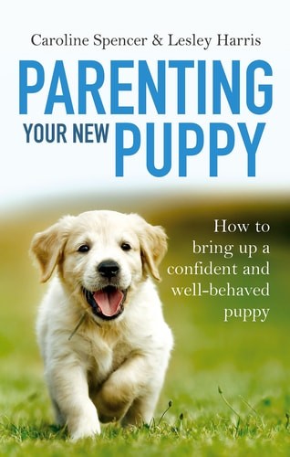 Parenting Your New Puppy: How to use positive parenting to bring up a confident