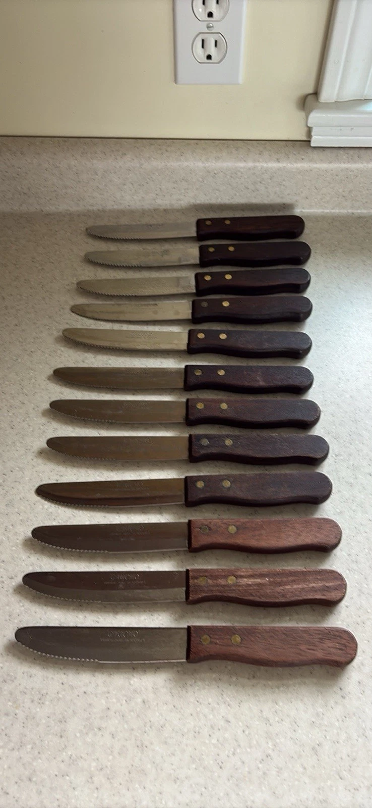 Gaucho Stainless Serrated Steak Knifes by Adcraft/set of 12