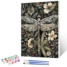 Paint by Numbers Kits for Adults Beginner with Wooden Framed, Color Dragonfly