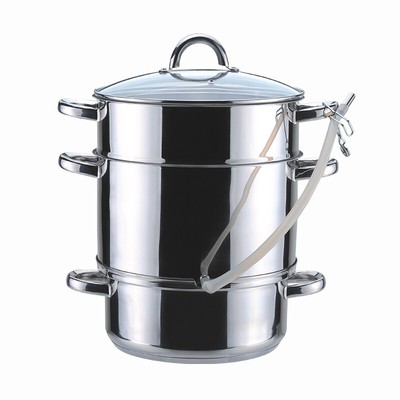 steamer and extractor