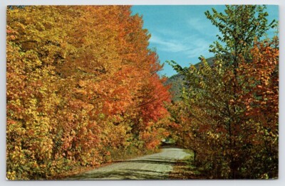 Postcard Autumn in New England Scenic View