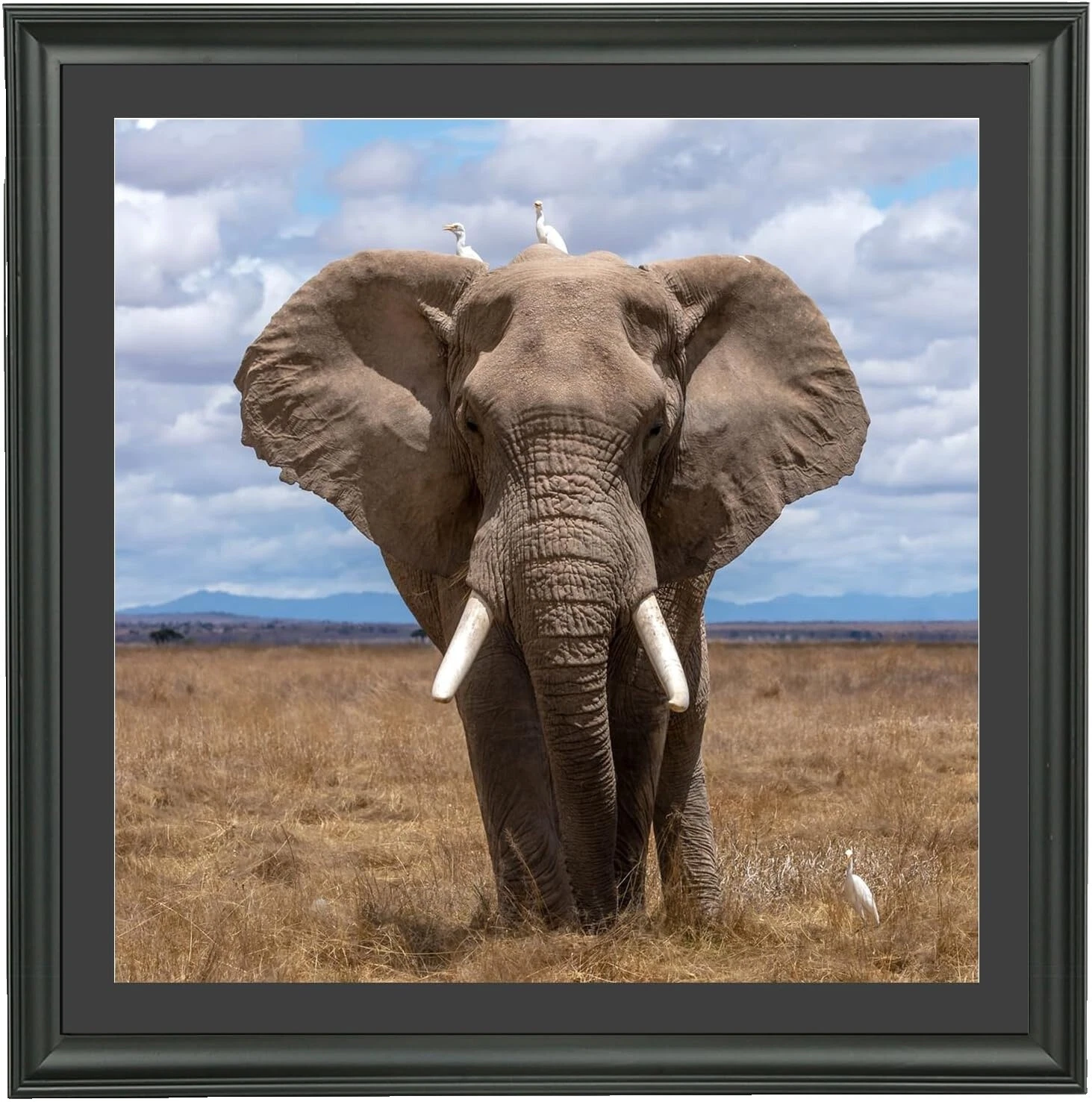 Marcos para fotos Negro aniversario de madera