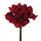 Kunstblume AMARYLLIS ca. 66cm. 1 Stängel mit 4 Blüten. Ritterstern Rot DUNKELROT