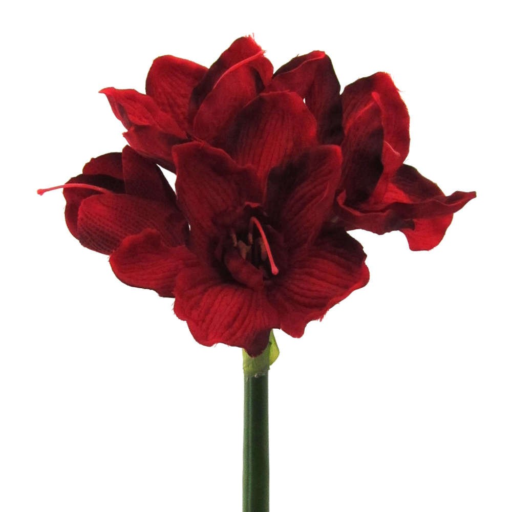 Kunstblume AMARYLLIS ca. 66cm. 1 Stängel mit 4 Blüten. Ritterstern Rot DUNKELROT