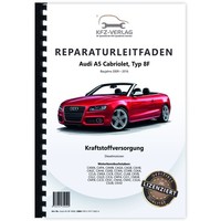 Audi A5 Typ 8F 2009-2016 Kraftstoffversorgung Dieselmotoren Reparaturanleitung