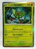 Teal Mask Ogerpon 024/167 Sv06: Twilight Masquerade Rare Holo Pokemon TCG