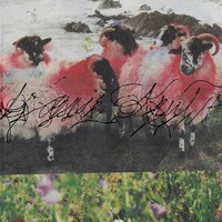 Kassie Krut - Deluxe Edition - Vinyl Record - G1398Z