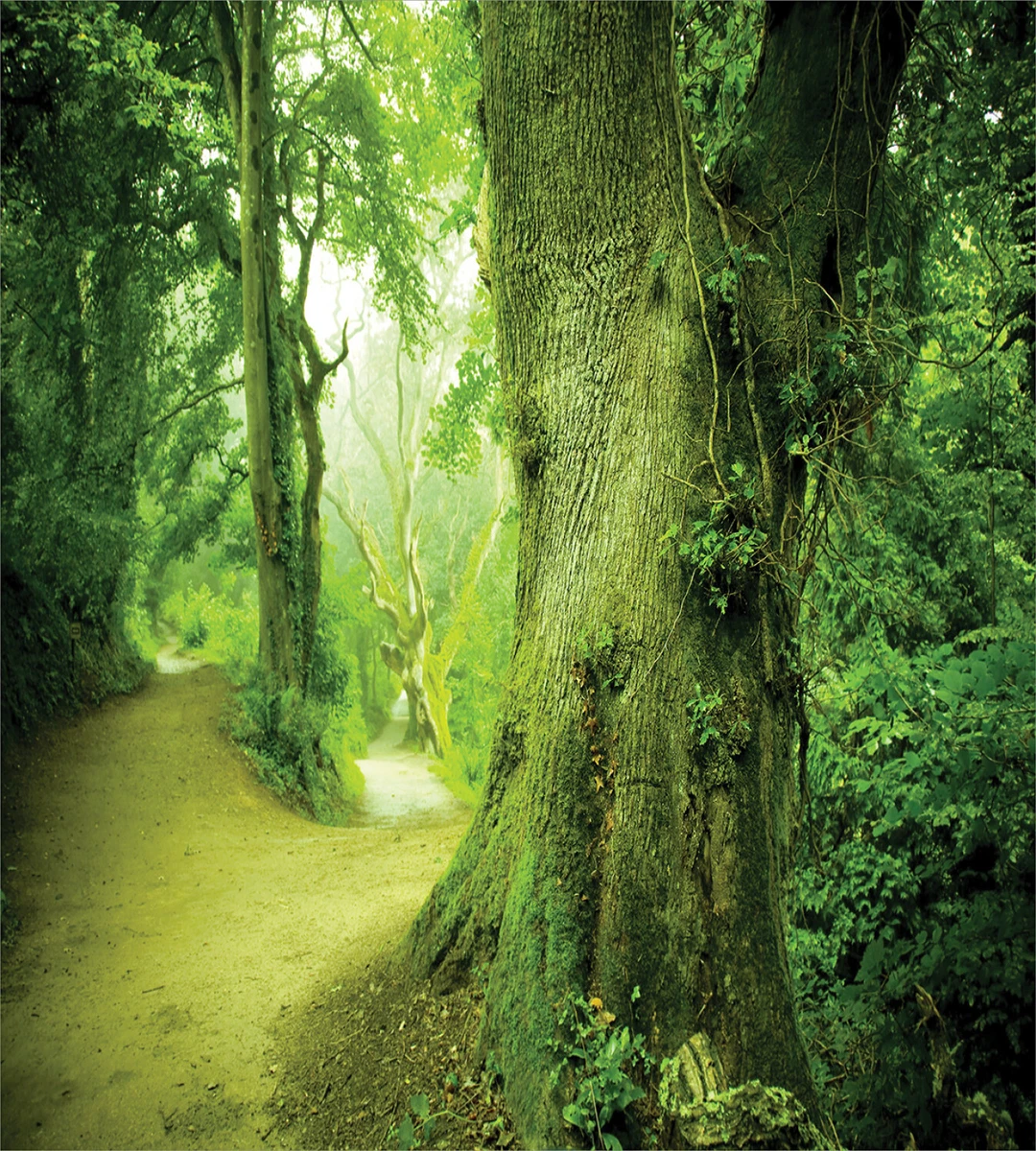 Wilderness Fantasy