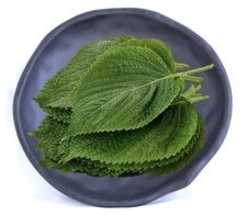 Japanese Cuisine Melamine Round Deep Plate Snack Salad Side Dishes Thick Black