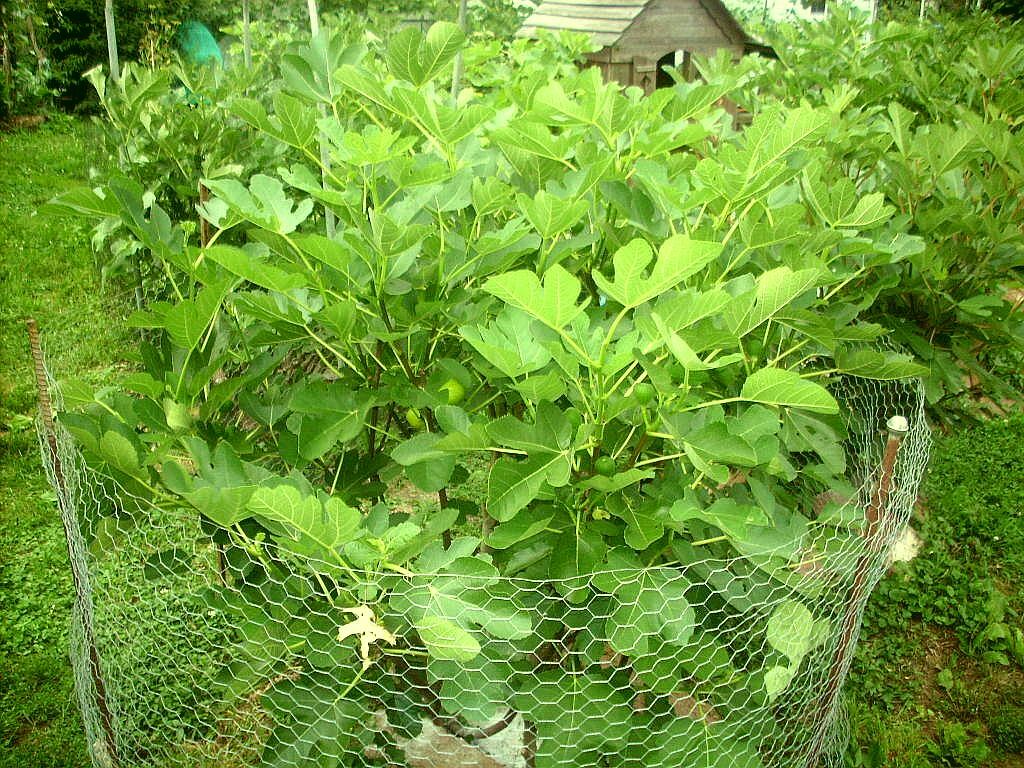 Picture 7 of 7
