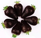 BLACK STRAWBERRY SEEDS, 50 SELECTED SEEDS + FREE