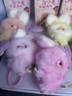 Baby Three Super Mini Bunny Plush  - "Letter V,C,K,P,R Lot Of 5 Confirmed Cards — photo 10