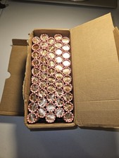 2025 P Lincoln Shield Cent Penny Box Of 50 Rolls