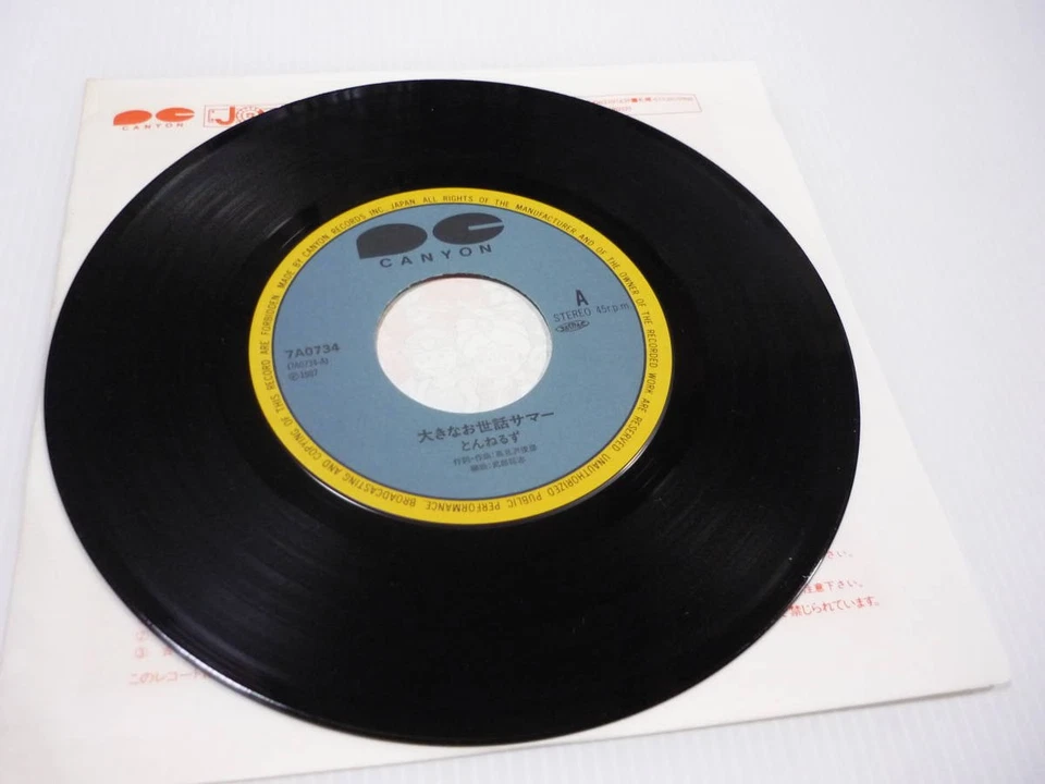 Record Tunnels Big Ode Summer Do It Yourself Toshihiko TBKamizawa 7A0734 V5 - Image 2 of 4