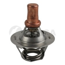 Thermostat Dacia Solenza