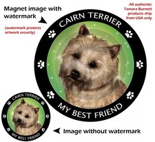 Cairn Terrier My Best Friend Dog Car Magnet