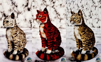  ARK Survival Ascended Cat New Top Stats PVE PS5/XBOX/PC