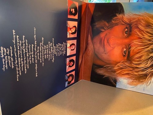 ROD STEWART BLONDES HAVE MORE FUN - Deluxe ED (New 180G LP Sealed Vinyl) ARG - Picture 4 of 9