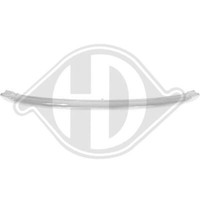 Diederichs 1206041 Zier-/Schutzleiste, KüHlergitter FüR Mini