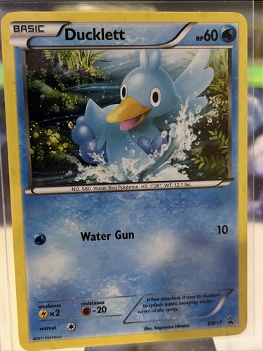 Pokémon TCG Ducklett BW Black Star Promos BW17 Holo Promo LP