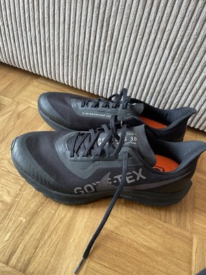 Nike Pegasus 36 Trail GTX