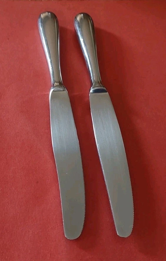 2 Williams-Sonoma MORGAN 18/10 DINNER KNIVES Stainless 9 3/4" France Free Ship