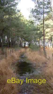Photo 6x4 Wet bridleway on Graffham Common Selham Thank goodness for well c2008