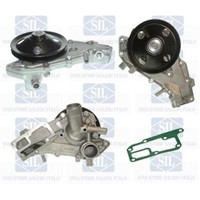 Saleri SIL Wasserpumpe FüR Renault Twingo I C06_ F40_ G40_ B/C57_ 5/357_