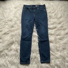 J Crew 9" mid-rise toothpick jean in Point Lake wash