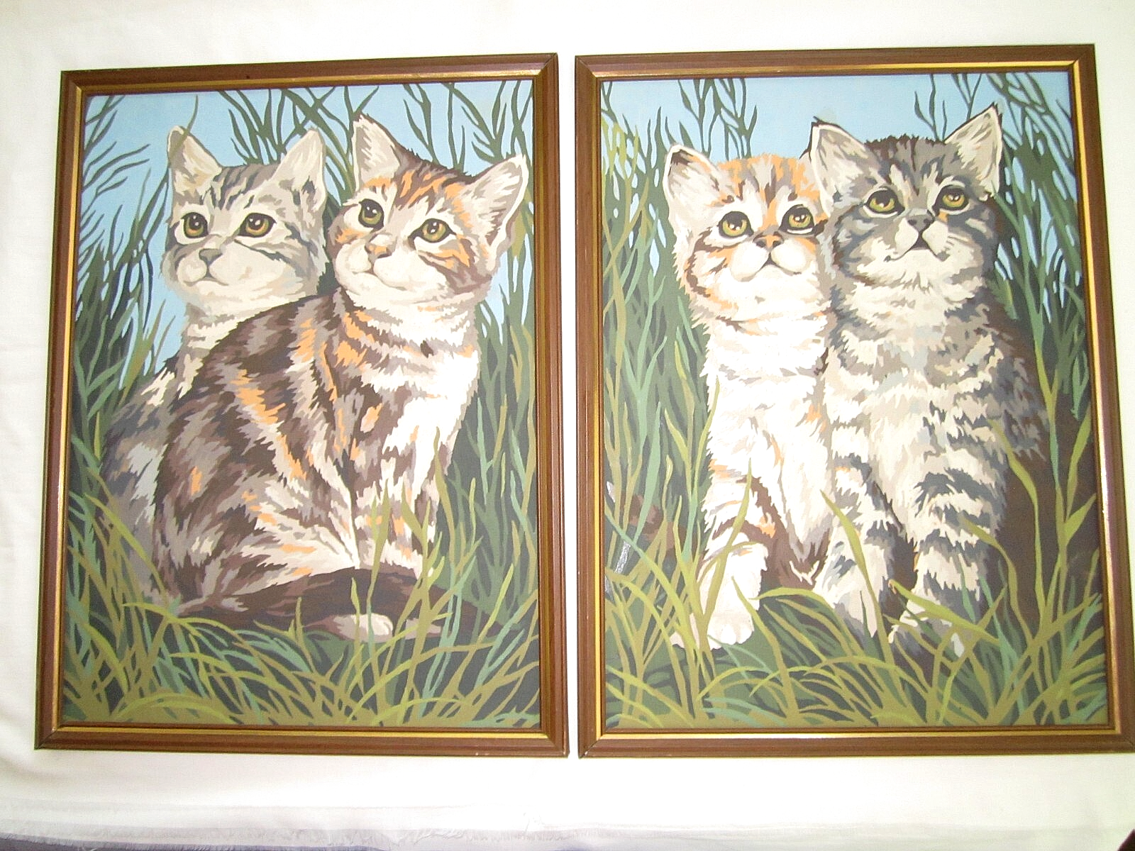 Picture 6 of 12