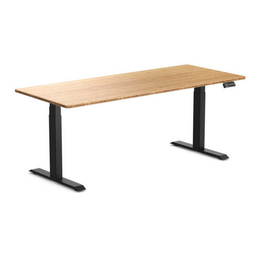 Desky Dual Bamboo Sit Stand Desk - Picture 1 of 103